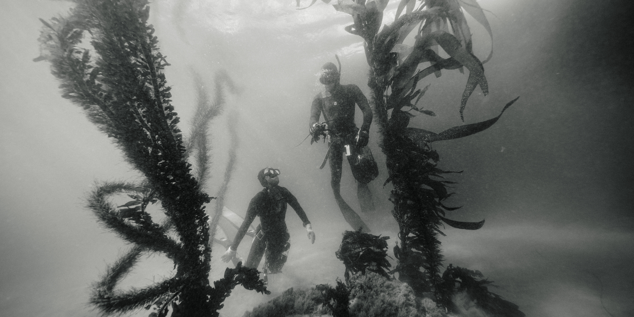 Escape to a dreamy dive in the Channel Islands.